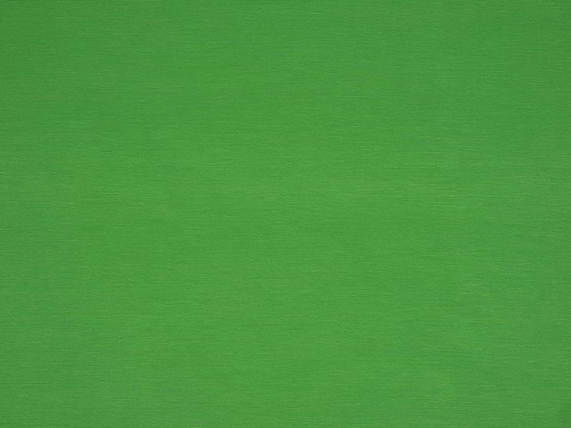 Romanit Jersey - grün