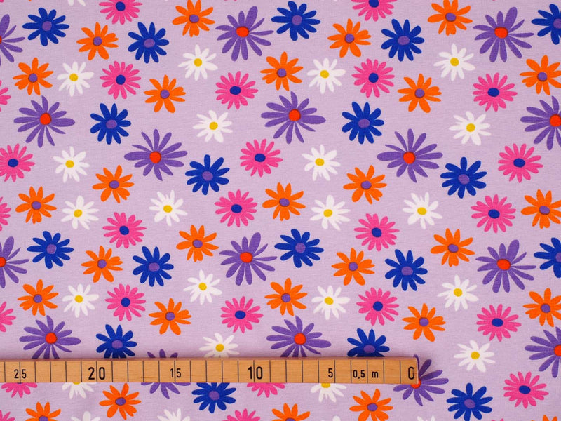 Jersey Baumwolle Gänseblümchen - lila