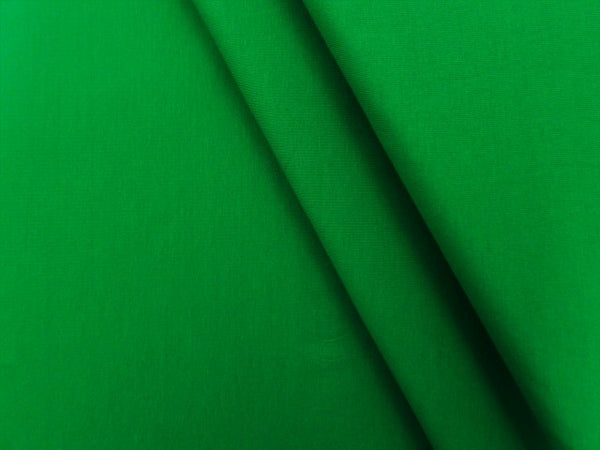 Jersey Baumwolle Uni - grasgrün