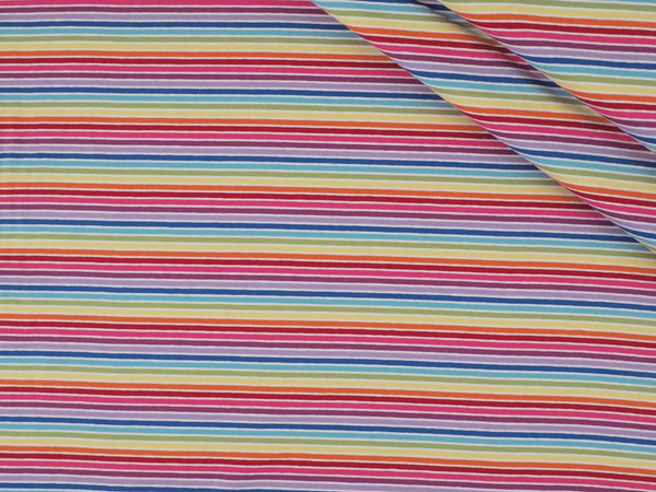 Jersey Baumwolle Streifen Multicolor - hell bunt